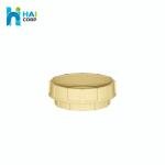 Nozzle Strainer Type VB4