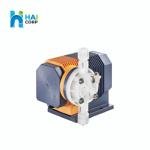 Dosing Pump Prominent 1001 PVT