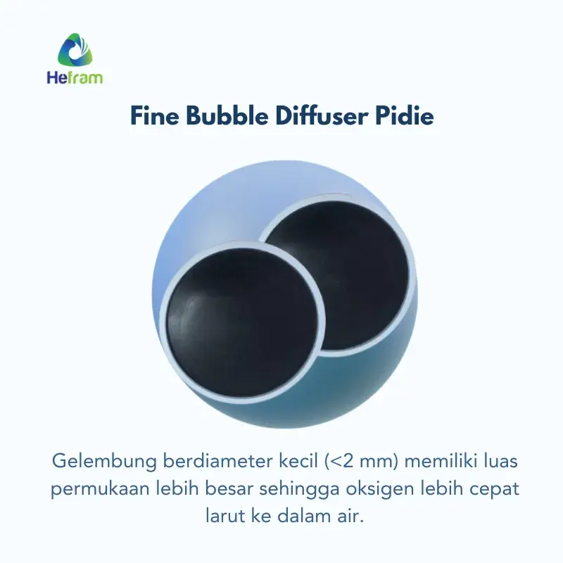 Fungsi Membran pada HFM Fine Bubble Diffuser (3)