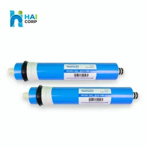 Ro Membrane Replacement Procedure